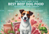 The Ultimate Guide to the Best Beef Dog Food: Top Picks for Your Canine Companion